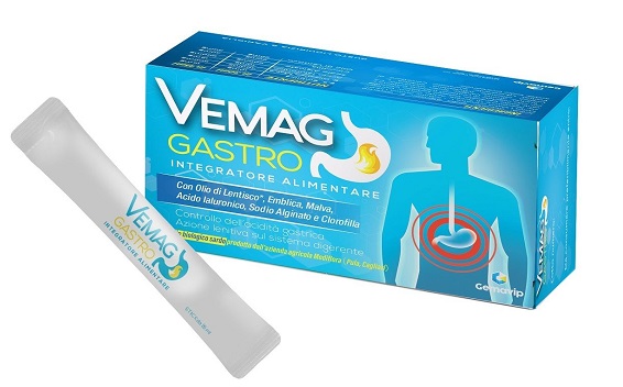 VEMAG GASTRO 20 STICK - Farmacia Del Monaco