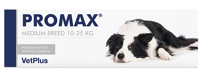 PROMAX MEDIUM BREED 18 ML - Farmacia Del Monaco