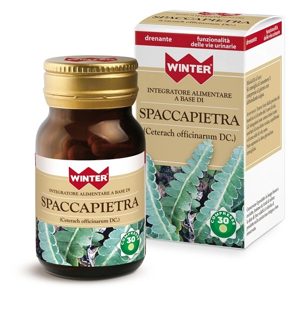 WINTER SPACCAPIETRA 30 COMPRESSE - Farmacia Del Monaco