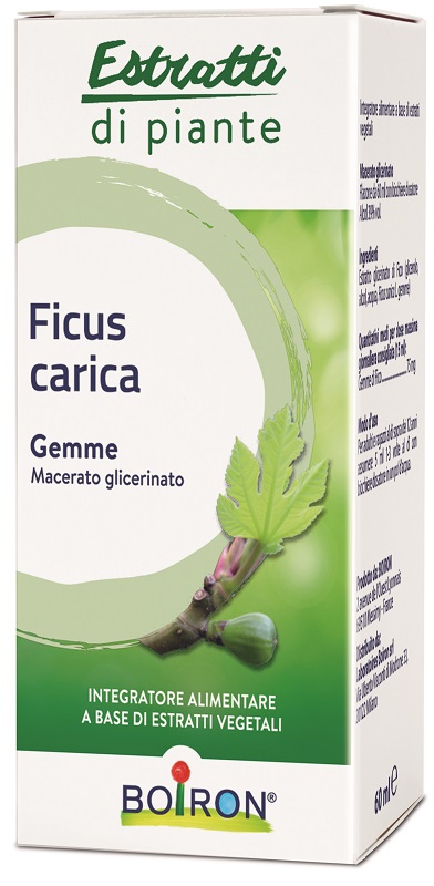 FICUS CARICA BOIRON MACERATO GLICERICO 60 ML - Farmacia Del Monaco