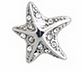 BJT978 ORECCHINI POST-FORATURA SEE STAR CRYSTALS 11MM - Farmacia Del Monaco