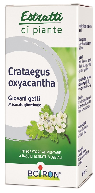 CRATAEGUS BOIRON MACERATO GLICERICO 60 ML - Farmacia Del Monaco