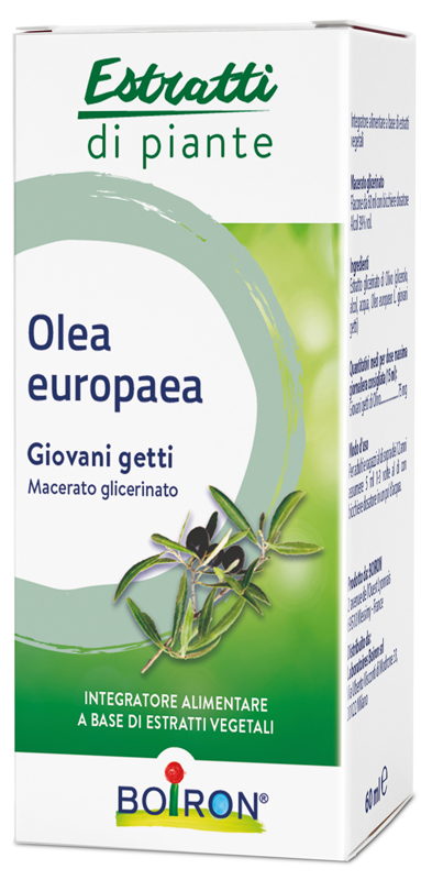 OLEA EUROPAEA BOIRON MACERATO GLICERICO 60 ML - Farmacia Del Monaco
