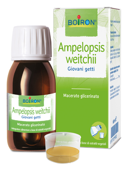 AMPELOPSIS WESTRATTO IDROALCOLICO BOIRON MACERATO GLICERICO 60 ML - Farmacia Del Monaco