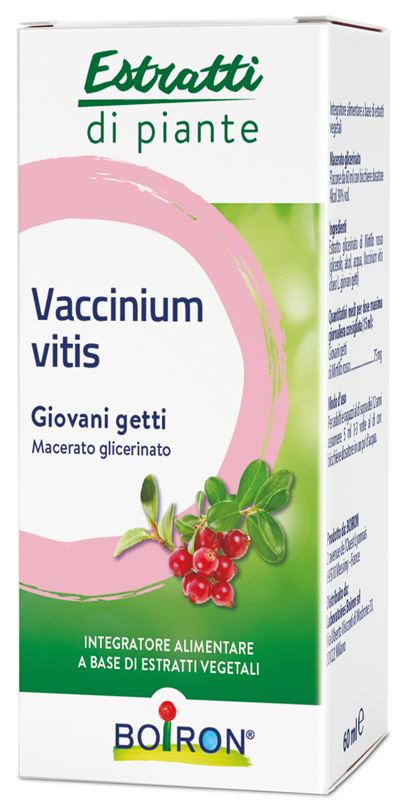 VACCINIUM VITIS MACERATO GLICERICO 60 ML - Farmacia Del Monaco