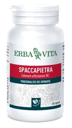 SPACCAPIETRA 60 CAPSULE - Farmacia Del Monaco
