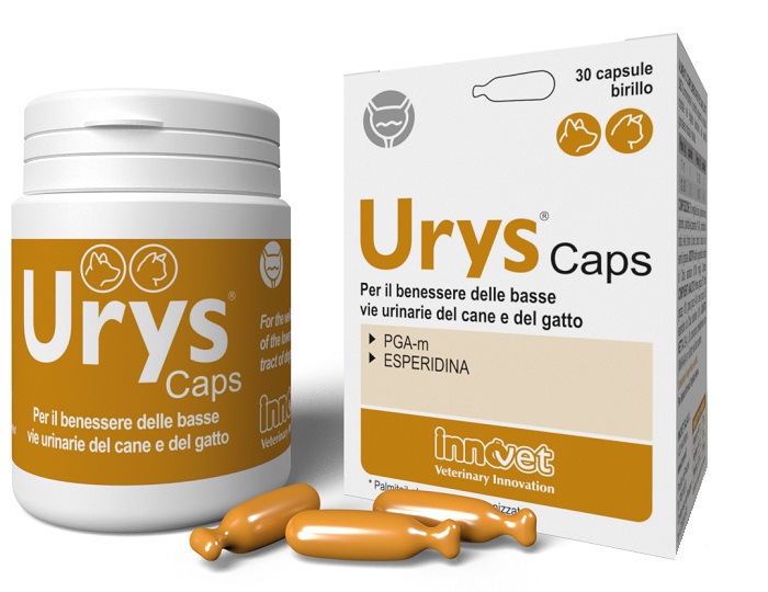 URYS CAPS 30 CAPSULE - Farmacia Del Monaco