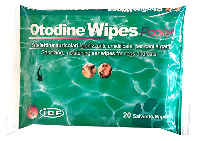 OTODINE WIPES POCKET 20 PEZZI - Farmacia Del Monaco